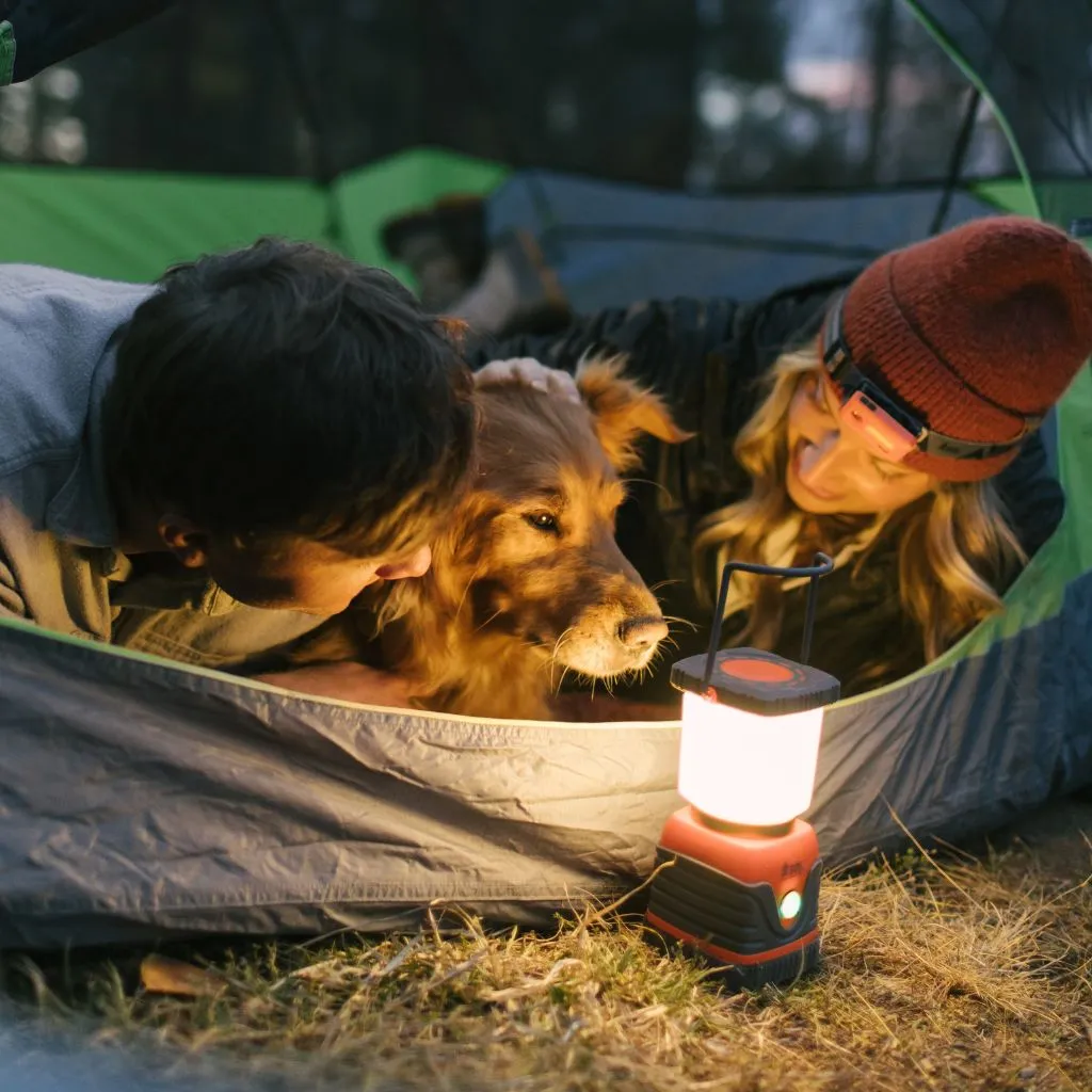 Camp Lantern 3D