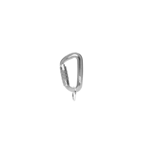 Carabiner - Silver