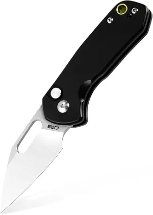 CJRB CUTLERY Mini Pyrite(J1933) Folding Pocket Knife,2.17" AR-RPM9 Steel Blade and Black Handle Small EDC Knife with Pocket Clip for Work Outdoor Hiking Camping