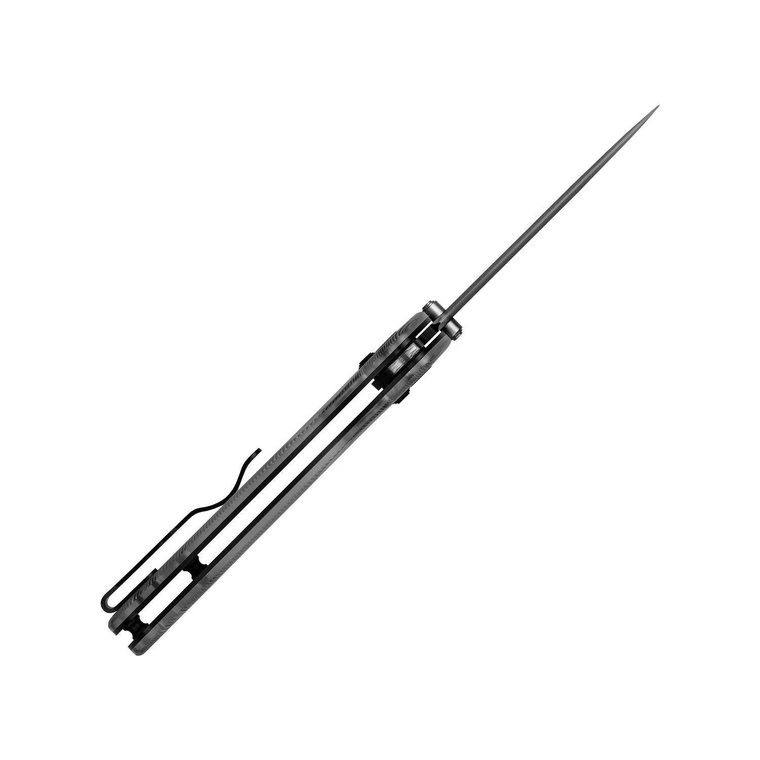 Drop Bear | Acrylic   Black PVD Nitro-V