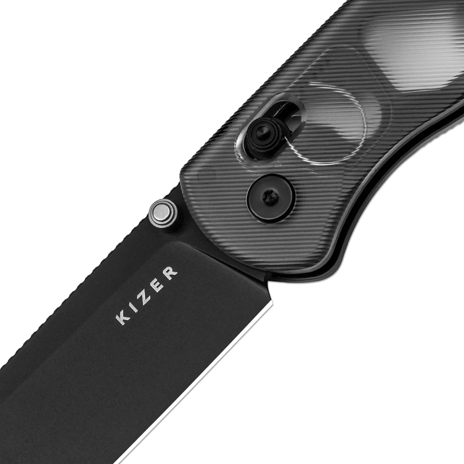 Drop Bear | Acrylic   Black PVD Nitro-V