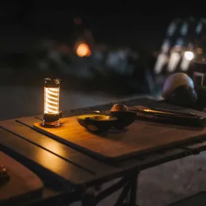 Edison Light Stick