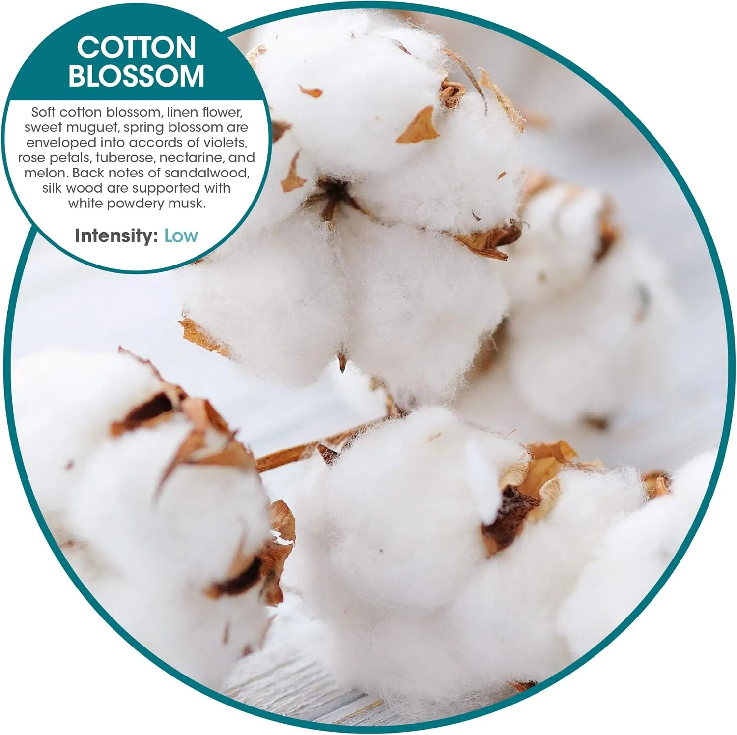 Fresh Products Eco Bowl Clip Air Freshener Versatile Design Toilet Freshener Trash Freshener Chemical Free Natural Oils Discreet Lasts 30 Days Made in the USA Cotton Blossom 12 pk