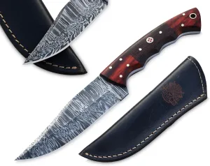 GLADIUS CRAFTS" 9 Inch Handmade Damascus Skinner Knife with leather sheath - EDC Full tang fixed blade with RoseWood handle - Ideal for Camping, Hunting & Skinning, and Bushcraft