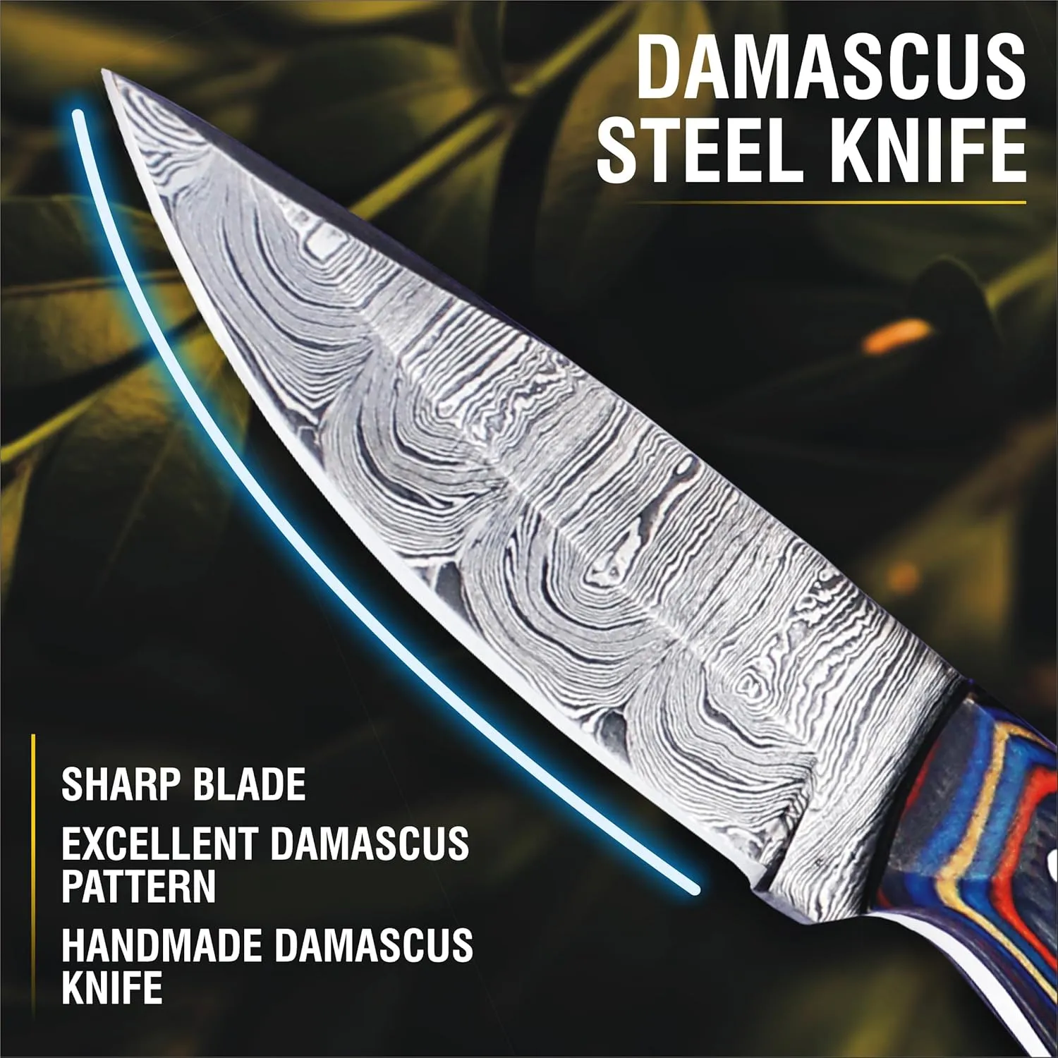 Handmade 8" Fixed Blade Knife with Sheath, Damascus Steel Bushcraft Knife with Wood Handle for EDC and Outdoor Camping