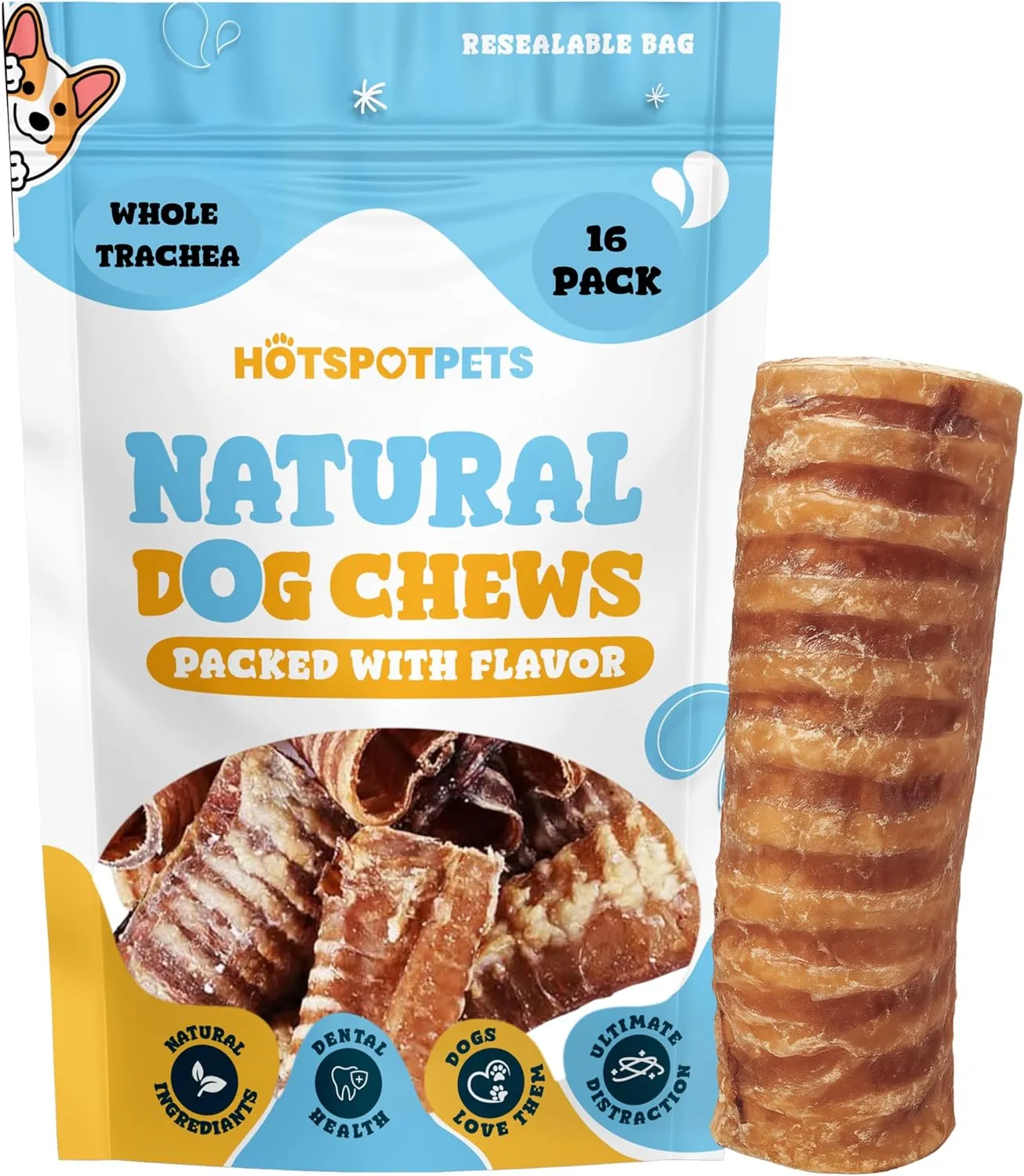 hotspot pets Premium Beef Trachea for Dogs 6" Whole Tubes - (16 Pack) Value Bag, All Natural Grass-Fed Beef Dog Chews, Rich in Glucosamine Chondroitin for Joint Health, Single Ingredient