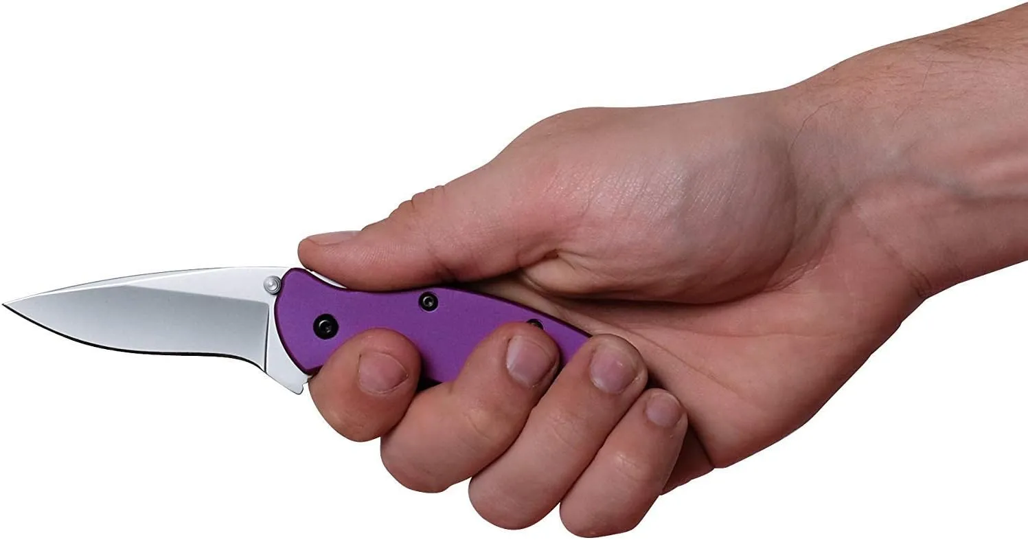 Kershaw Scallion Pocket Knife, 2.4 inch Folding Blade, SpeedSafe Assisted Opening, Perfect EDC, Made in the USA, Multiple Styles