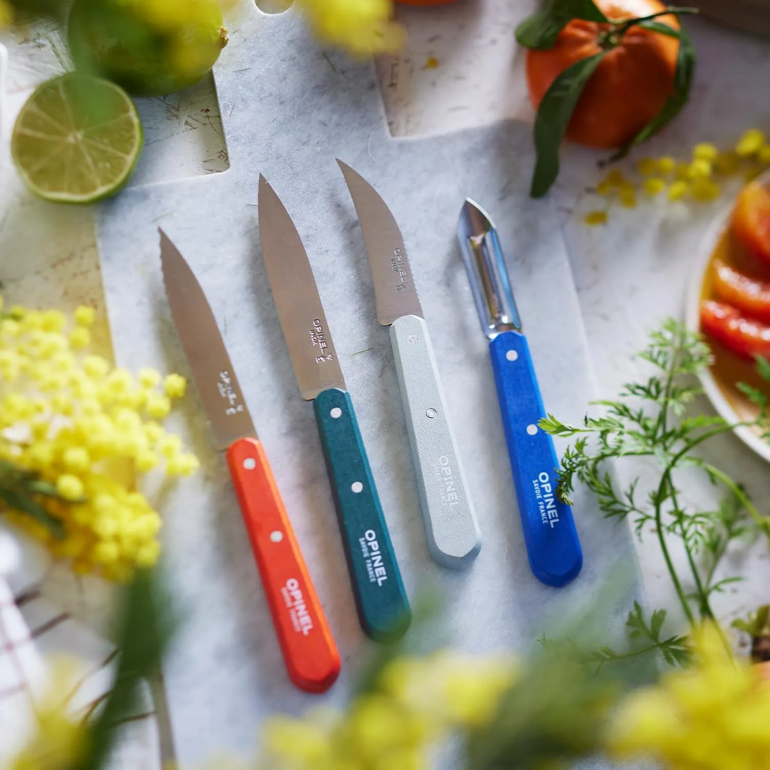 OPINEL Les Essentials - Small Kitchen 4 Piece Set - Paring, Serrated, Vegetable Knife, Peeler - Corrosion Resistant High Carbon Steel - Made in France (Primo)