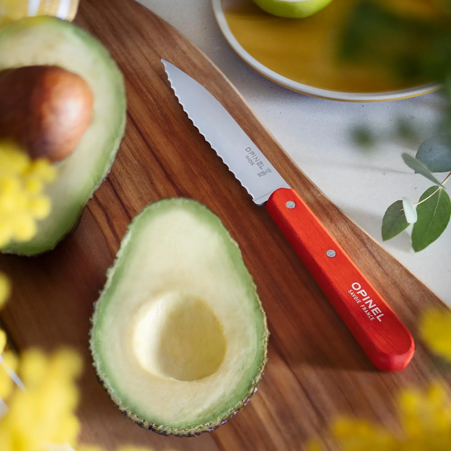OPINEL Les Essentials - Small Kitchen 4 Piece Set - Paring, Serrated, Vegetable Knife, Peeler - Corrosion Resistant High Carbon Steel - Made in France (Primo)