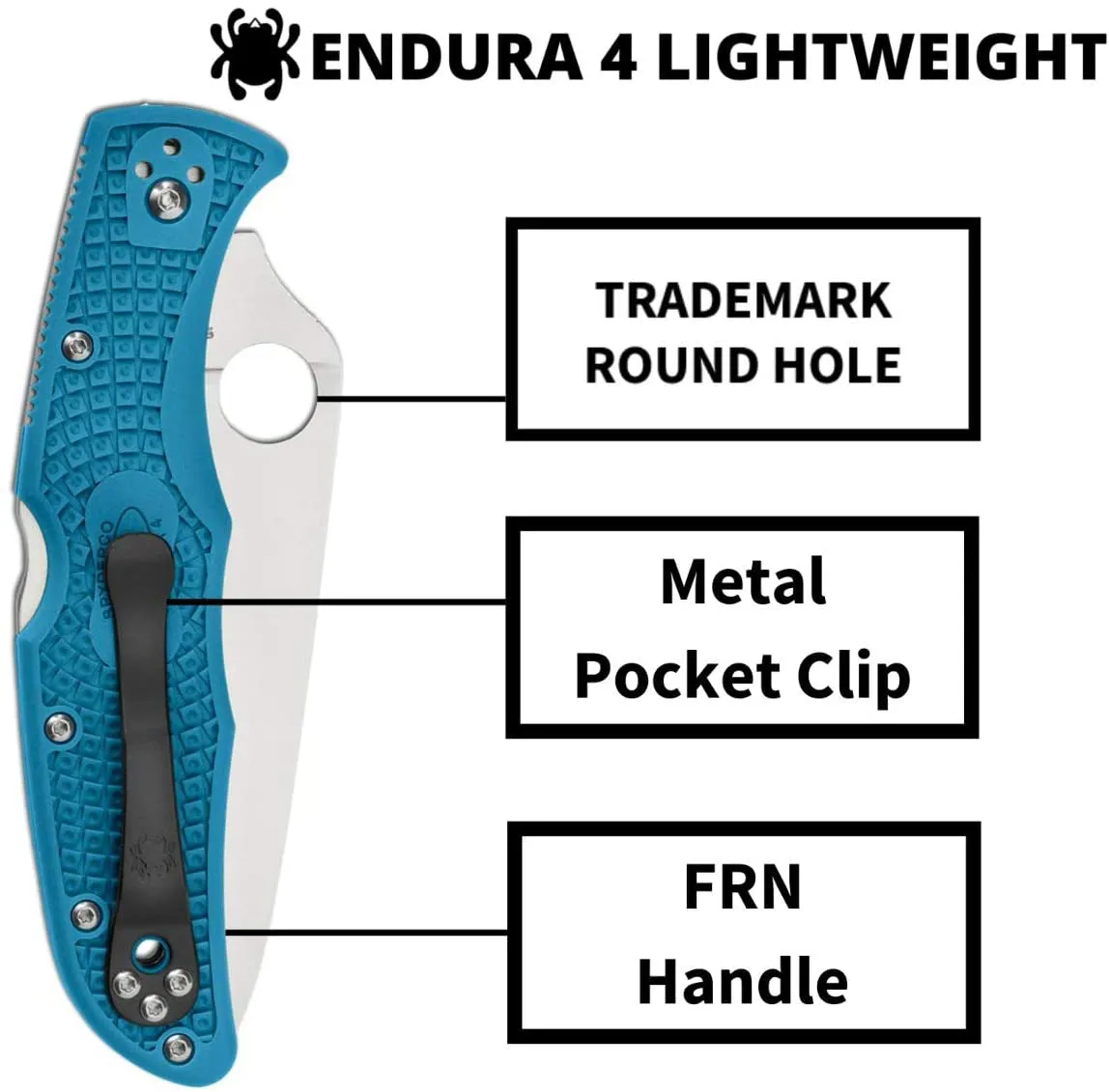 Spyderco Endura 4 Lightweight Blue Flat Ground 3.80" Plain Edge Folding Pocket Knife (C10FPBL)
