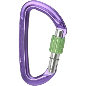 Wild Country Climbing Session Screw Gate Locking Carabiner