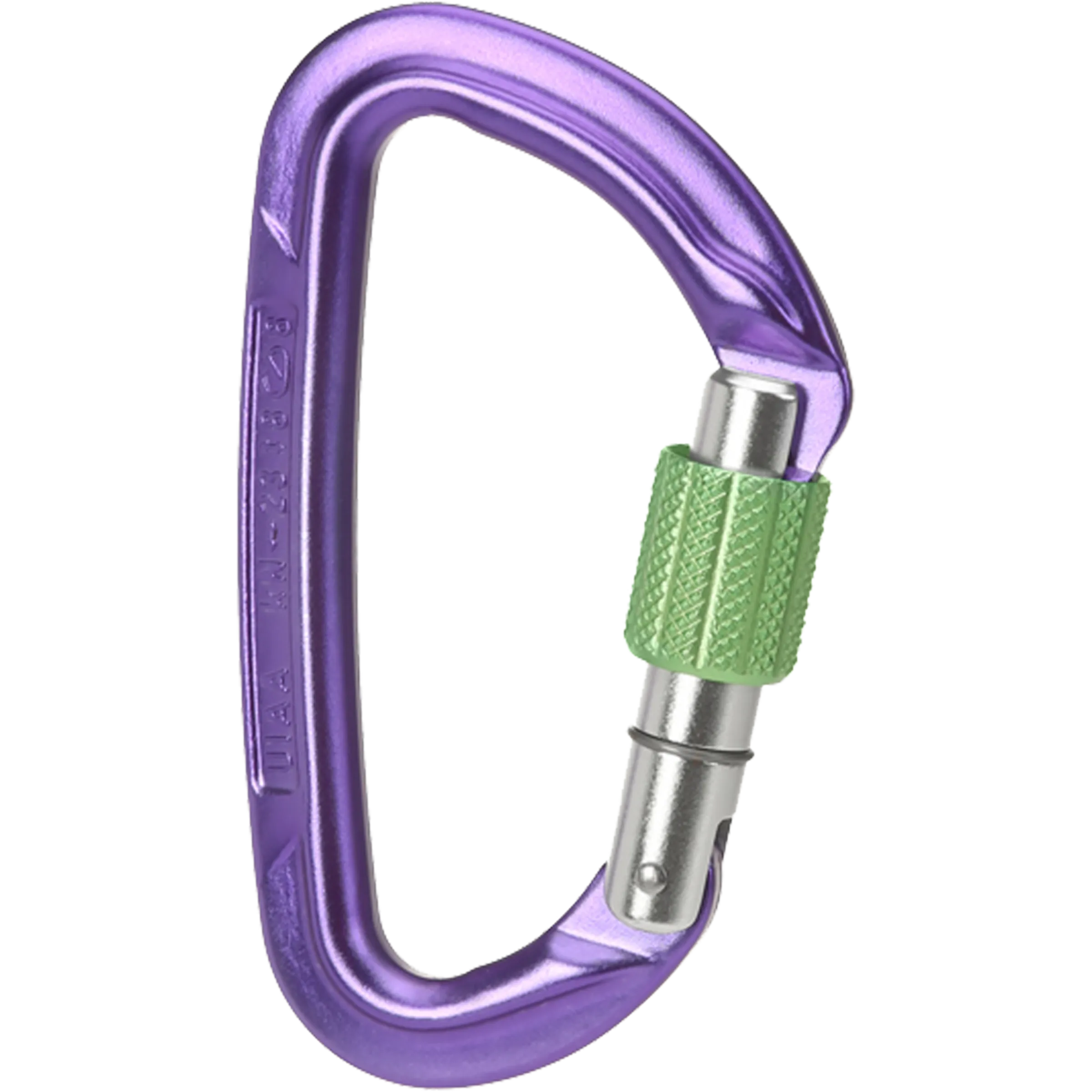Wild Country Climbing Session Screw Gate Locking Carabiner