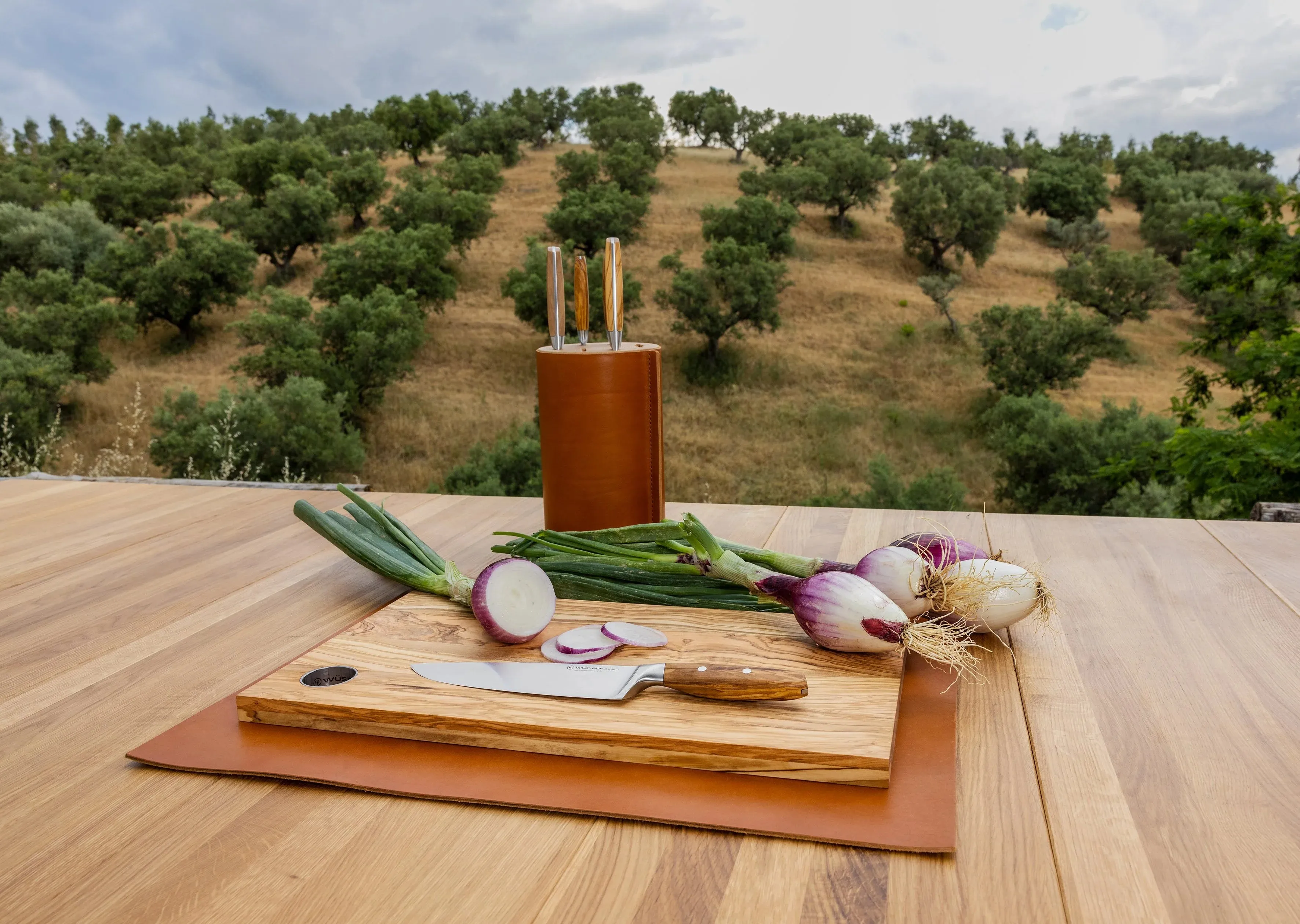 Wusthof Amici Six Piece Knife Block Set | Stainless Steel Knives with Olive Wood Handles